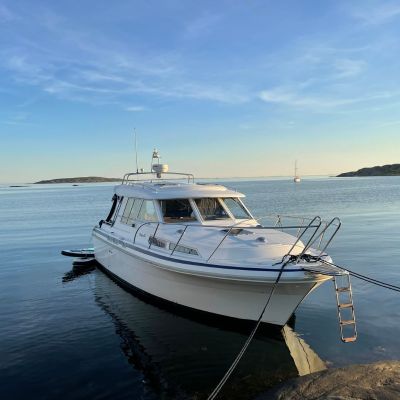 Saga 29