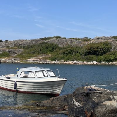 Lammholmen