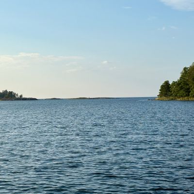 Björkö, Arsläjan