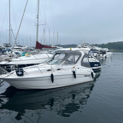 Wellcraft Martinique 2600