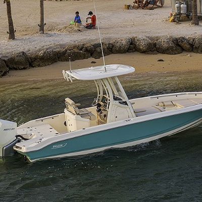Boston Whaler 250 Dauntless