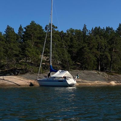 Tjyvholmarna