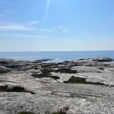 Ulsholmen