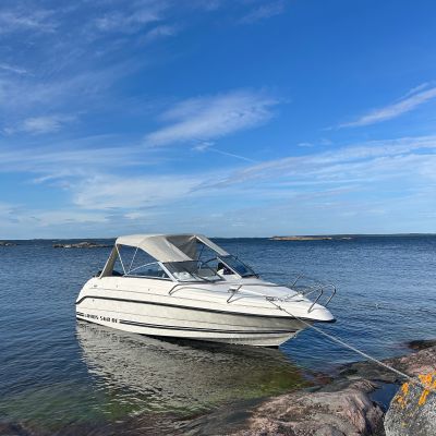 Vidskären