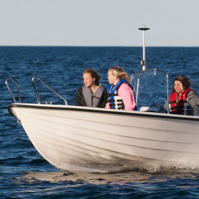 Sandström Classic 460 S