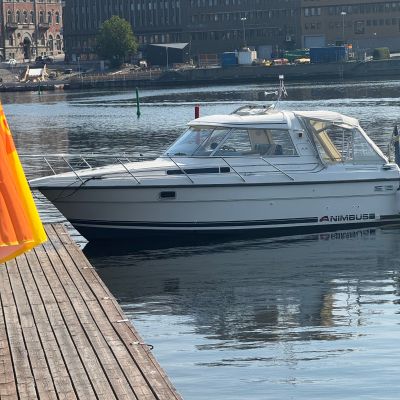 Nattviken