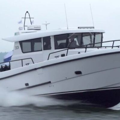 Sargo 33