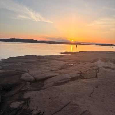 Skogskär
