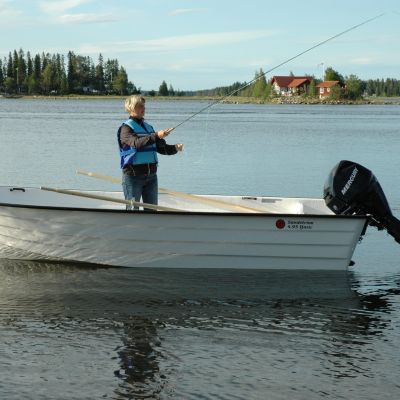 Sandström Basic 495 R