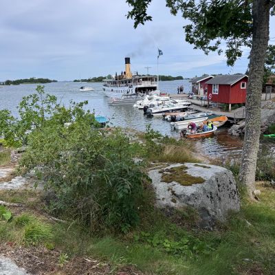 Byviken