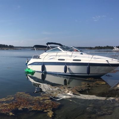 Sea Ray 230 Sundancer