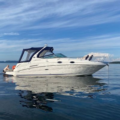 Sea Ray 315 Sundancer