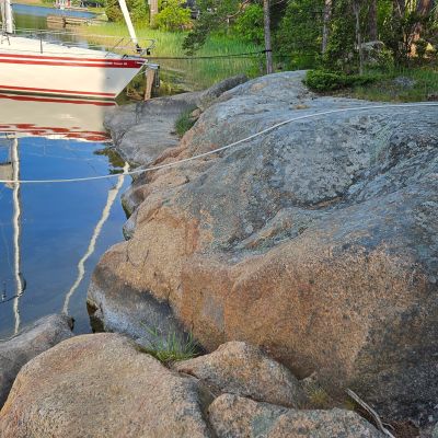 Hemviken