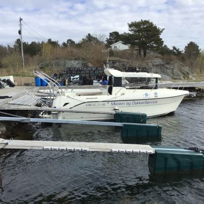 Quicksilver 810 Arvor