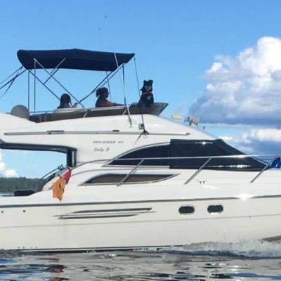 Princess 40