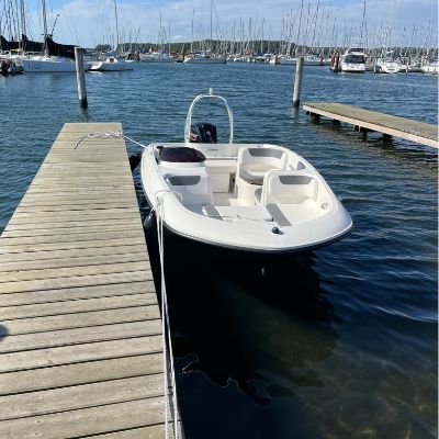 Bayliner Element E5