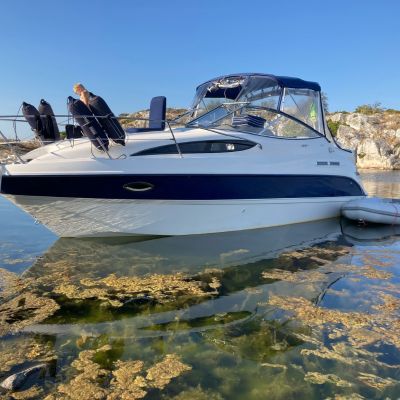 Bayliner 265CR
