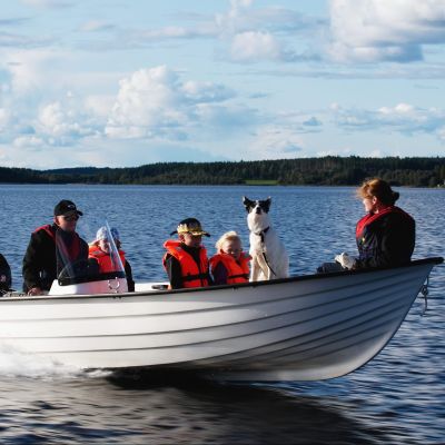 Sandström Basic 465 S