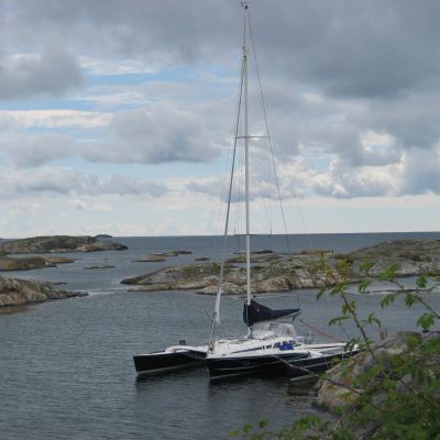 Dragonfly 920