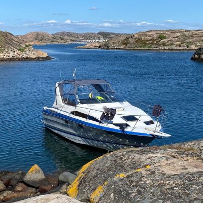 Bayliner 2955 Avanti Sunbridge