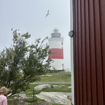 Söderarm