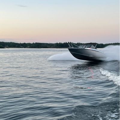 Silver Shark Br