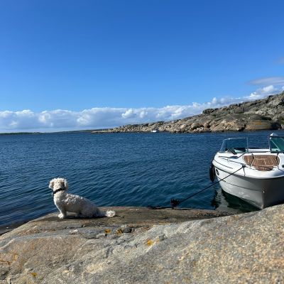 Fjordholmen