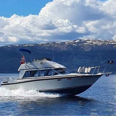 Bayliner 2850 Command Bridge