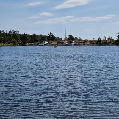 Koberget