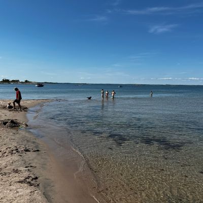 Stora Alskär, Alskärskobben
