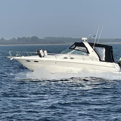 Sea Ray 310 Sundancer