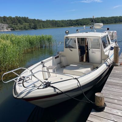 Bella Delphin 800