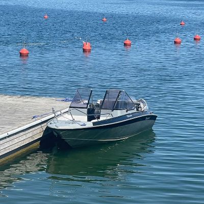 Silver Hawk 540 Br