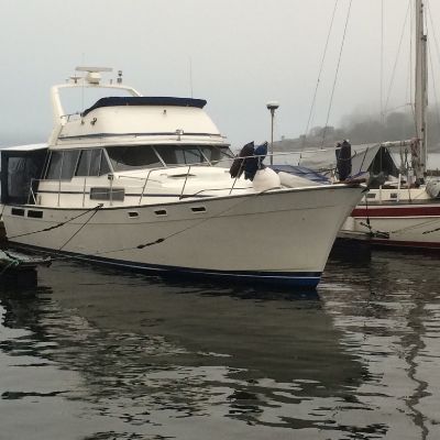 Bayliner 3888