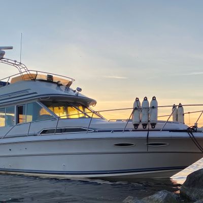 Sea Ray 340 Sedan Bridge