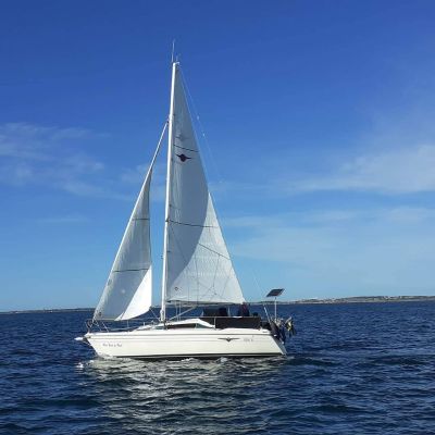 Maxi FENIX