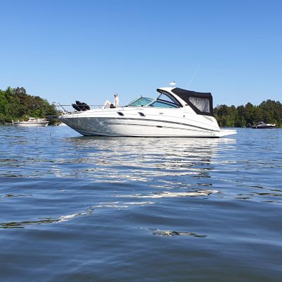 Sea Ray 305 Sundancer