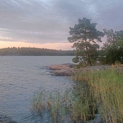 Ängsö - Ekbacken, Norrviken