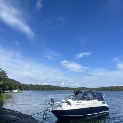 Skomakarviken