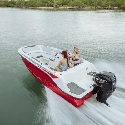 Bayliner Element M15