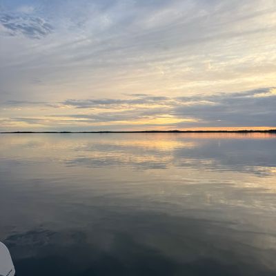 Hemviken