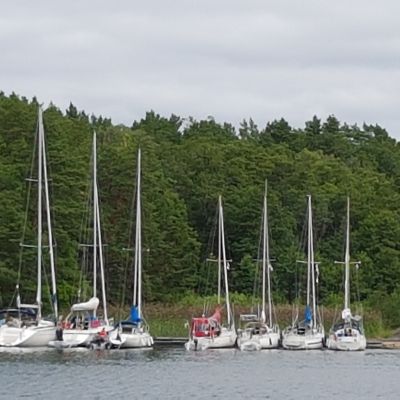 Bockviken
