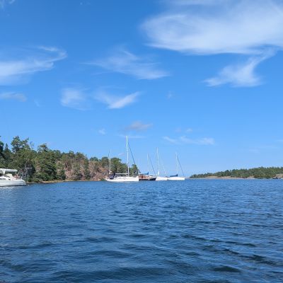 Katsholmarna