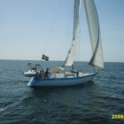 Oyster 37