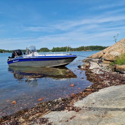 Silver Beaver 450