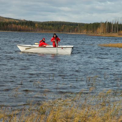 Sandström Basic 460 R