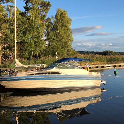 Sea Ray 268 Sundancer