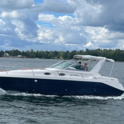 Sea Ray 290 Sundancer