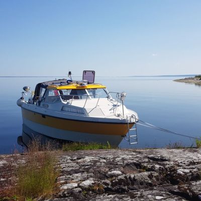 Höga Rodd 440SC