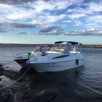 Bayliner 2655 Ciera Sunbridge